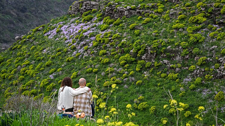 התחזית לסופ"ש: בוקר קריר, התחממות לקראת הצהריים