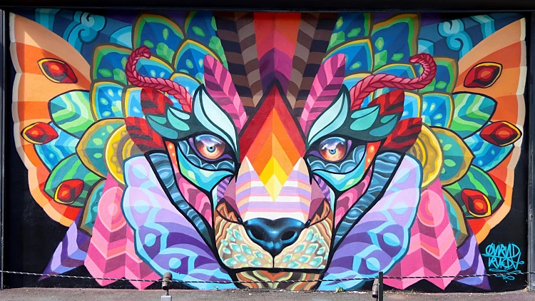 רובע האמנות ווינווד במיאמי