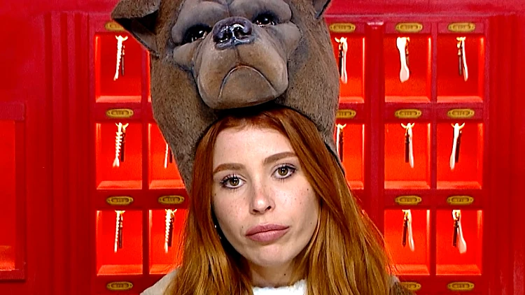 "אם בא לי, אני אהיה לידו": הקרב בין גל והודיה על זוהר מתחיל!