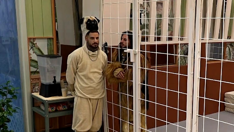 זוהר על גל והודיה: "אני מרגיש שהן משחקות בי כאילו אני צעצוע"