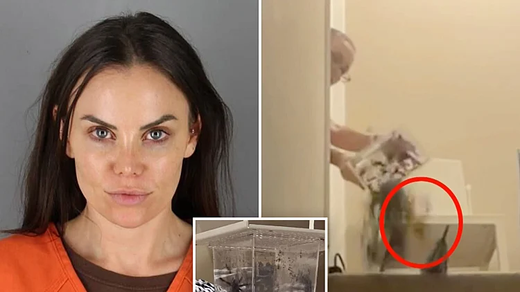 סכסוך בדירה יצא משליטה - ובעלת הבית זרקה טרנטולה על הדיירת