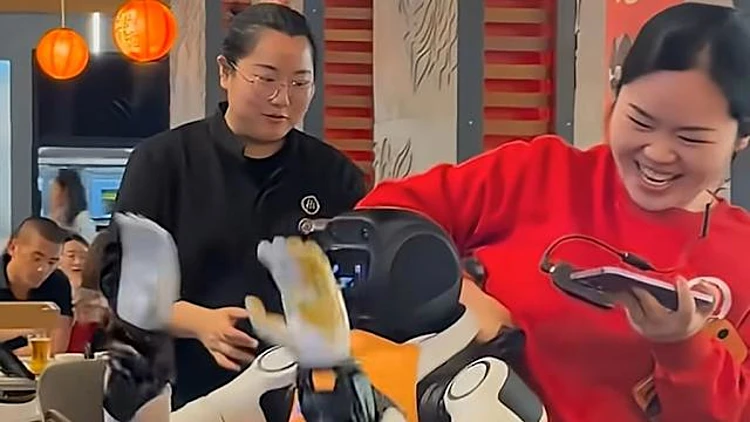 "פחד אלוהים": זה התחיל כמופע קטן במסעדה - ונגמר ברובוט שאיבד שליטה מול הסועדים