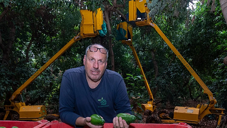 עופר מוסקוביץ