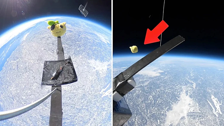 שלחו בובת פרווה אל מחוץ חלל בשביל לתעד את נפילתה - צפו