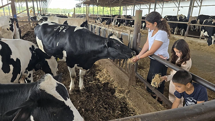 משק דוגמא מושב עמקה