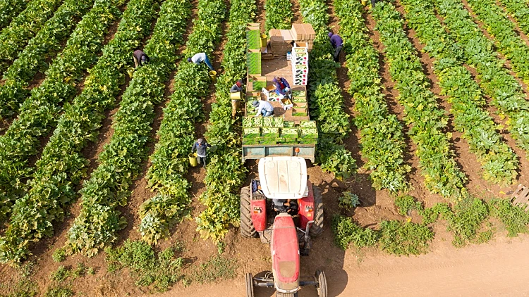 תושבי הצפון, שימו לב: רוצים שנכין פרסומת לעסק שלכם? לחצו כאן