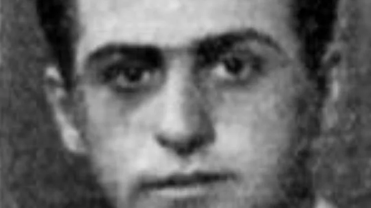 טוראי דב פרמט