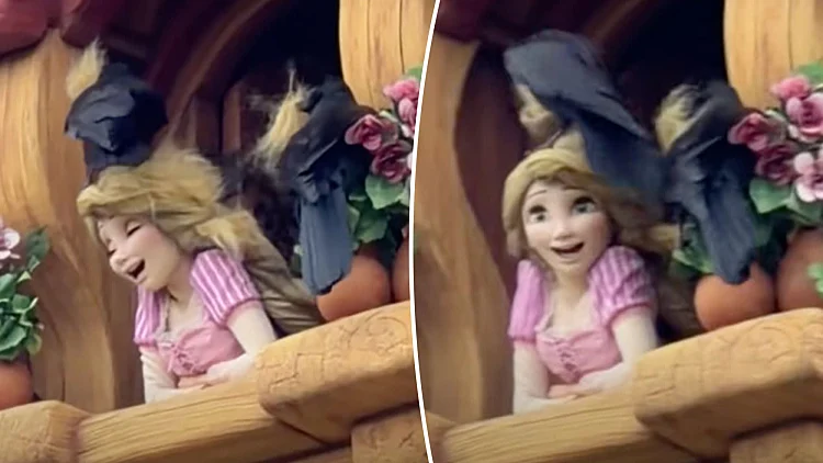 באמצע המופע: עורבים תלשו לרפונזל את השיער מול הקהל