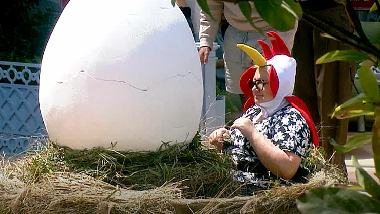 לא ציפור ולא מטוס: מי האורח המפתיע שנכנס לבית?