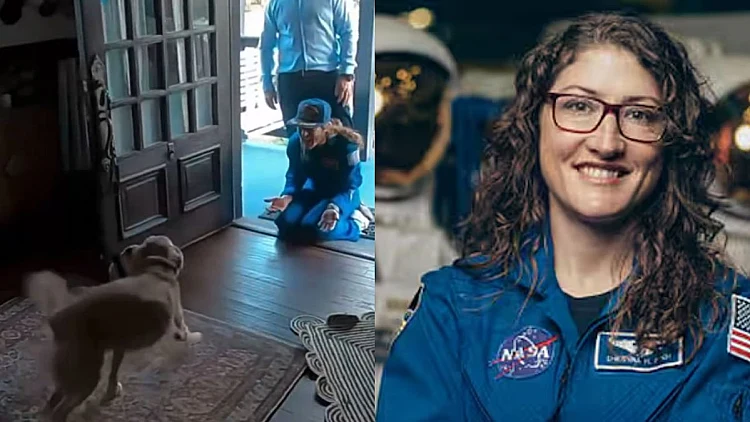 מהירח ישר לדלת: צפו במפגש בין האסטרונאוטית לכלב שחיכה לה 10 ימים