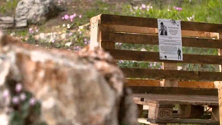 "לאהוב ללא תנאים": סיפור הנצחת החללים שגדלו בחינוך החרדי