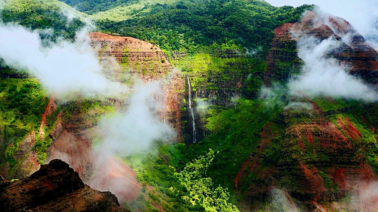 Waimea canyon הוואי