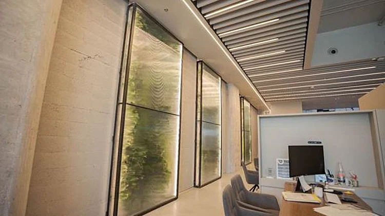 נטע קרת | REGBA - ויטרינת צמחייה | קרדיט - אלברט אסקולה - אדריכל