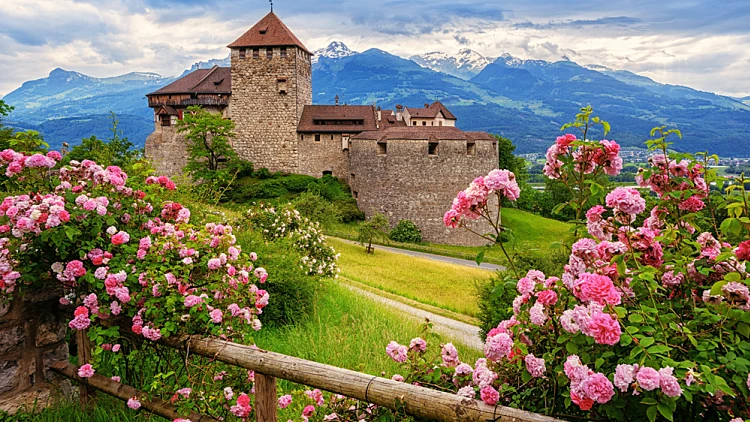 Vaduz,castle,,liechtenstein,,in,the,alps,mountains,,with,beautiful,blooming