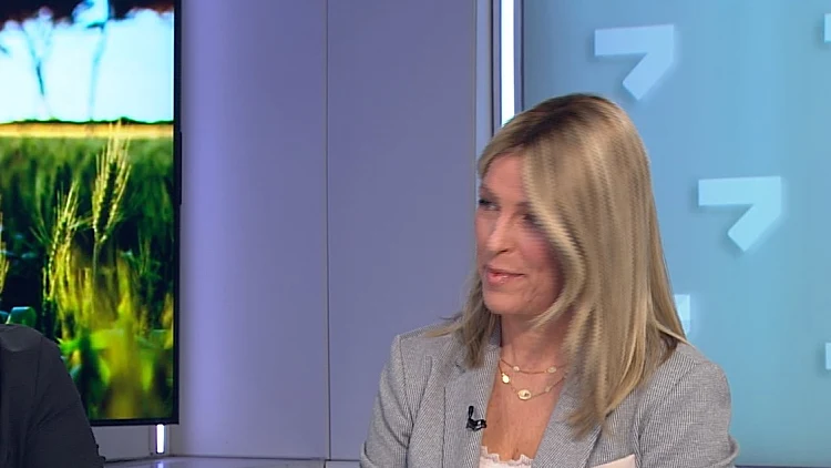 קונים ע"פ חוכמת ההמונים: המוצרים והשירותים שהצרכנים בישראל העניקו להם חותמת איכות