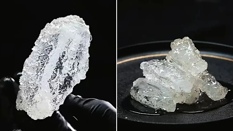 עוף מטוגן שקוף כמו זכוכית