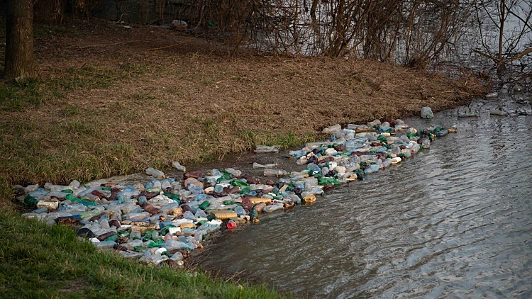 מעל 2,000 מתנדבים ניקו נהר - ושברו שיא עולמי