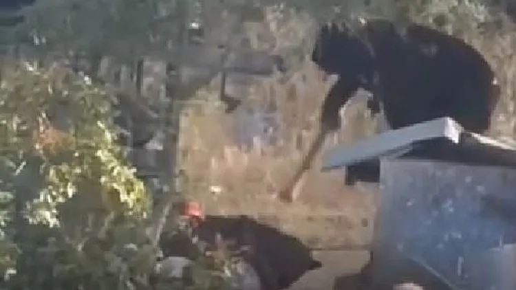 תיעוד אדם מתעלל בכלב בשומרון