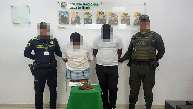 Arrested Smuggling Monkeys Col