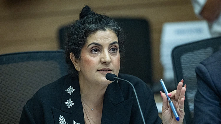 עו"ד שגית אפיק, היועצת המשפטית לכנסת