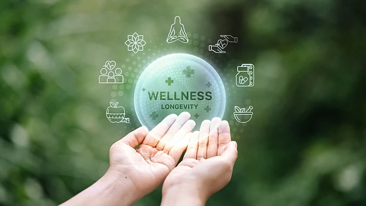 Wellness,and,longevity,infographic,over,human,hand,with,green,blurred