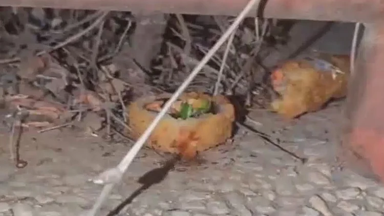 הפיל משלוח של סושי על הרצפה - ואסף אותו חזרה לקופסה