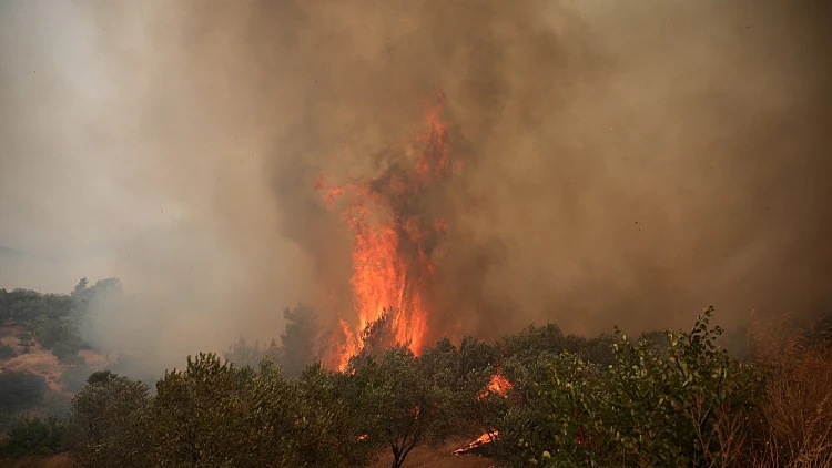 בחשד להצתת שריפה: ישראלי נעצר בכרתים בגלל מנגל שלא כובה
