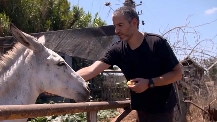 אסטרטגיית יציאה: הישראלים שפוטרו מההייטק ומגשימים חלומות