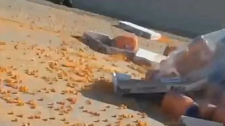 נהגים עצרו באמצע הכביש המהיר בגלל מה שהתפזר ממשאית