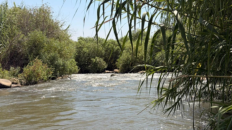 אקשן, קפה, נוף ונהר: 4 מקומות ליום טיול מושלם בצפון