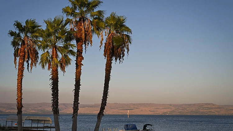 התחזית: עלייה קלה בטמפרטורות, בהיר וחם מהרגיל