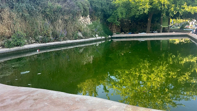 ותשליך במצולות ים: 5 מעיינות בהרי ירושלים שכדאי להכיר