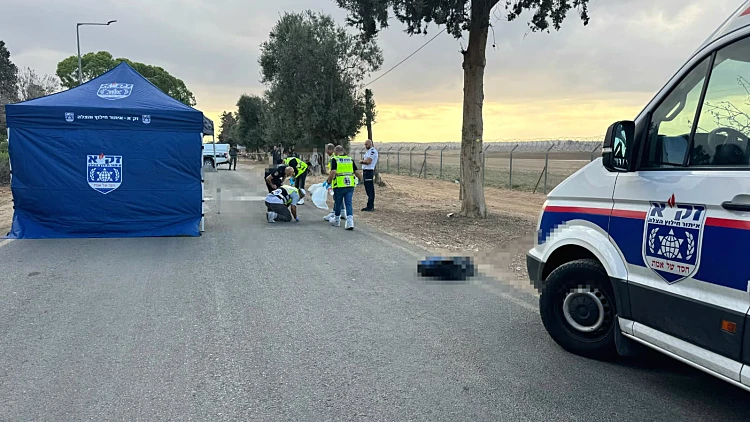 הולכת רגל כבת 90 נהרגה מפגיעת משאית סמוך לשדרות