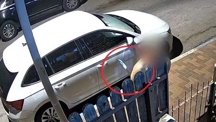 חשד: תושב כפר סבא תקף את בת זוגו והרג את כלבתו בחרב סמוראים