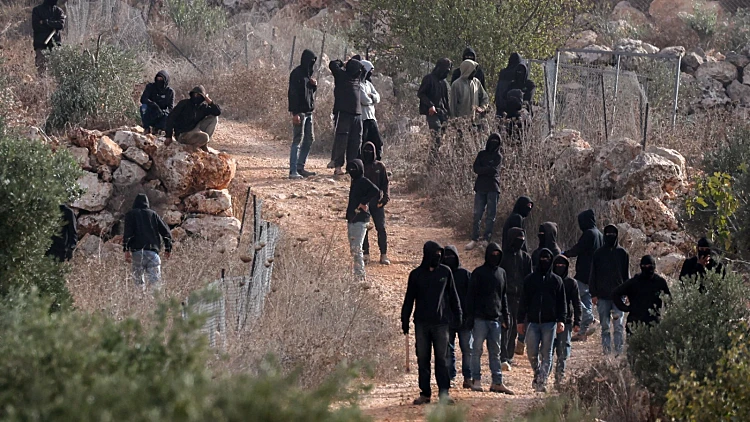אלימות מתנחלים במטע זיתים באבו פלאח, באזור רמאללה