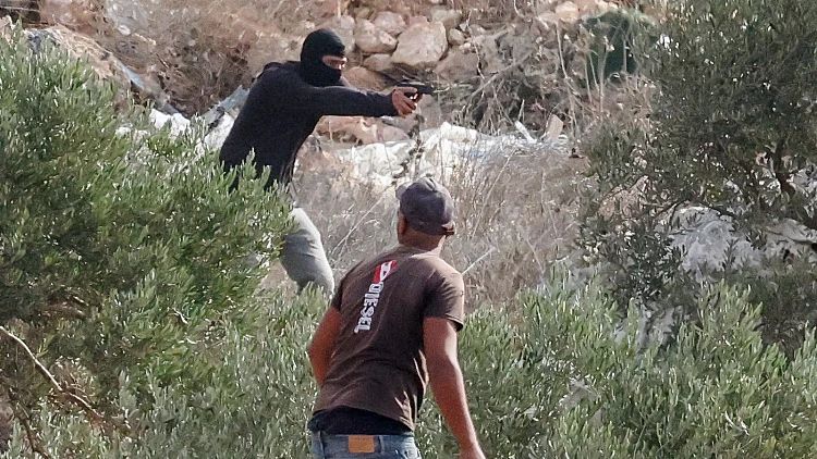 אלימות מתנחלים במטע זיתים באבו פלאח, באזור רמאללה
