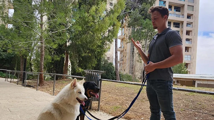 סיסטם האילוף שמאפשר לבעלי כלבים רגילים לצאת עם הכלב לכל מקום, בלי שזה יהפוך לסרט | רשת 13