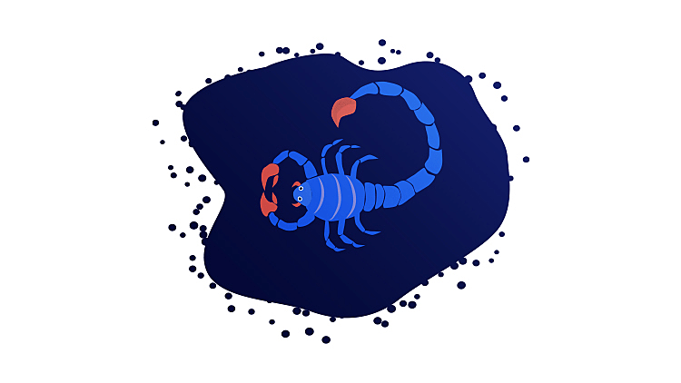 הורוסקופ | מזל עקרב | 23/10 – 21/11| רשת 13