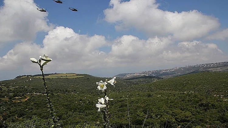 שושן צחור בנחל כלח