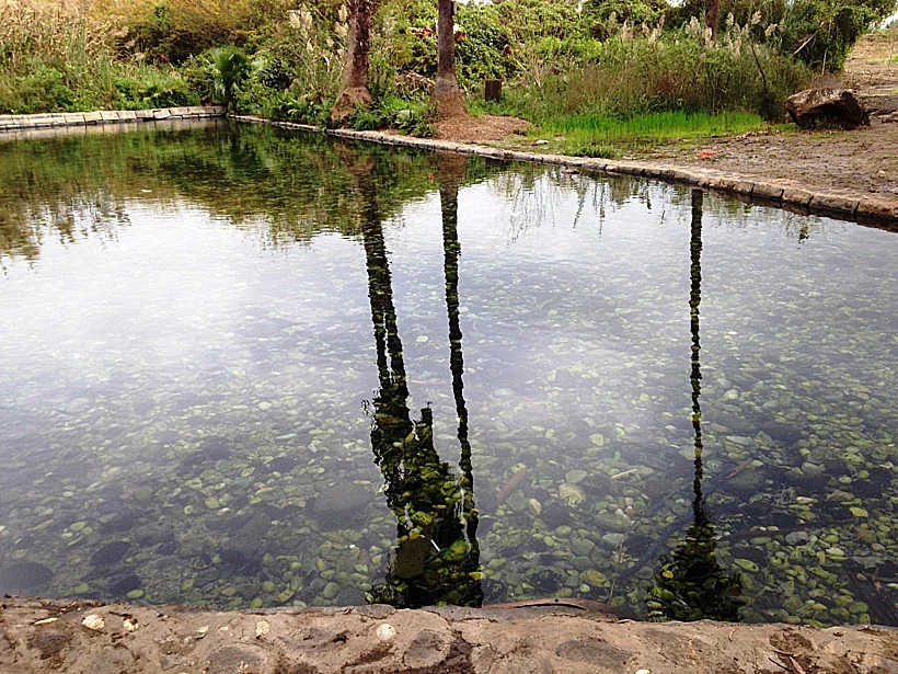 מעיינות בארץ - עין נון