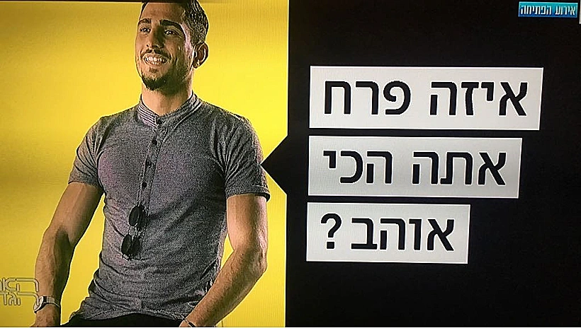 האח הגדול