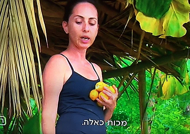 הישרדות