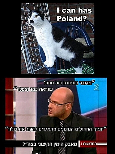 מם על כלב במדי קצין שהופיע בחדשות 2