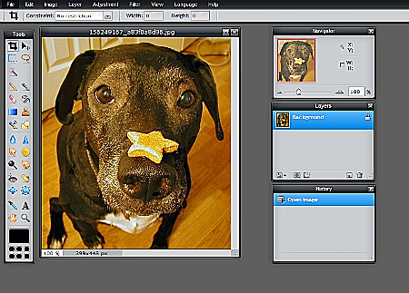 אתר לעריכת תמונות ברשת Pixlr
