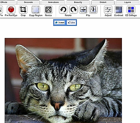 אתר לעריכת תמונות ברשת FotoFlexer