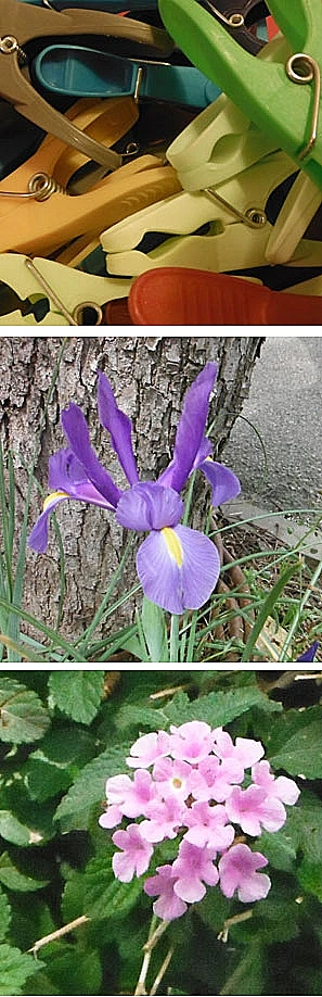 תמונות שצולמו עם Fuji FinePix XP170