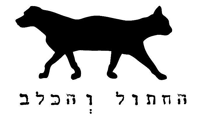 החתול והכלב