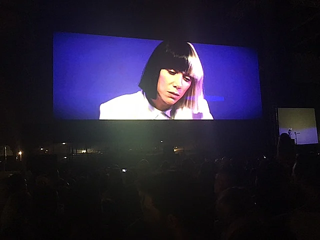 מתוך ההופעה של סיה