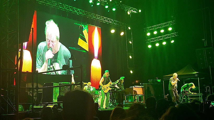 דיפ פרפל בישראל