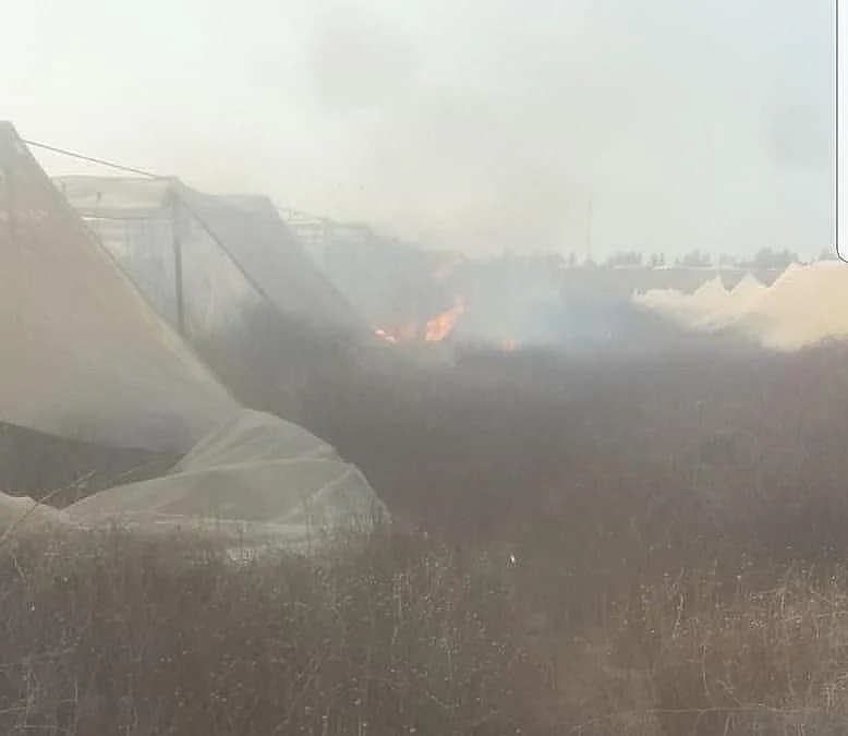 שריפה במועצה האזורית אשכול